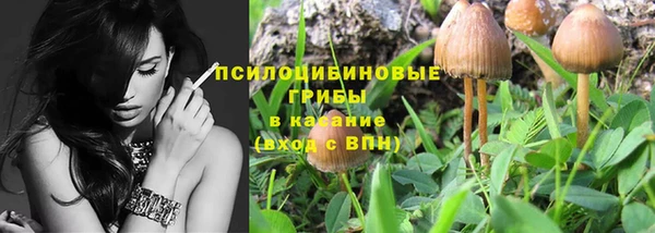 хмурый Алексин