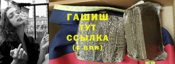 хмурый Алексин