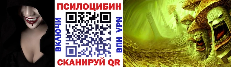 Галлюциногенные грибы мицелий  где найти   нарко площадка официальный сайт  Чапаевск 