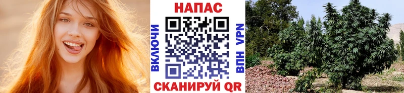 Канабис SATIVA & INDICA  Чапаевск 